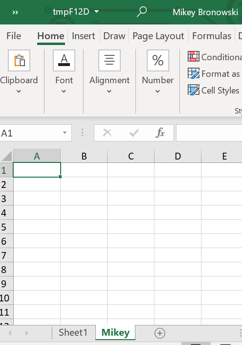 New sheet 'Mikey' has been added to our file.